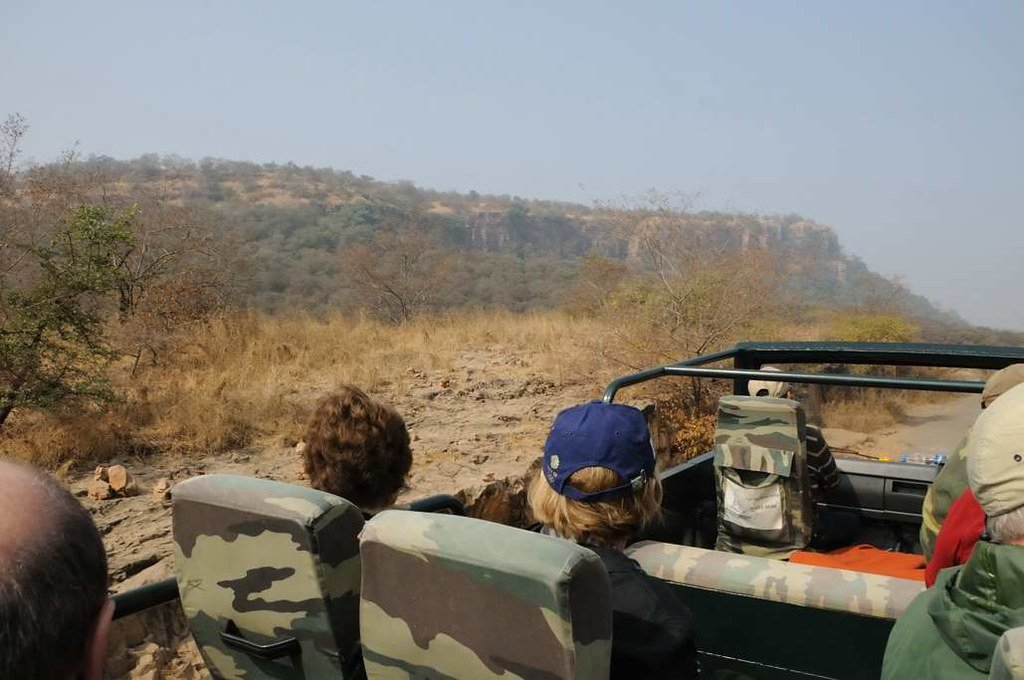 A jeep safari in Ranthambore National Park